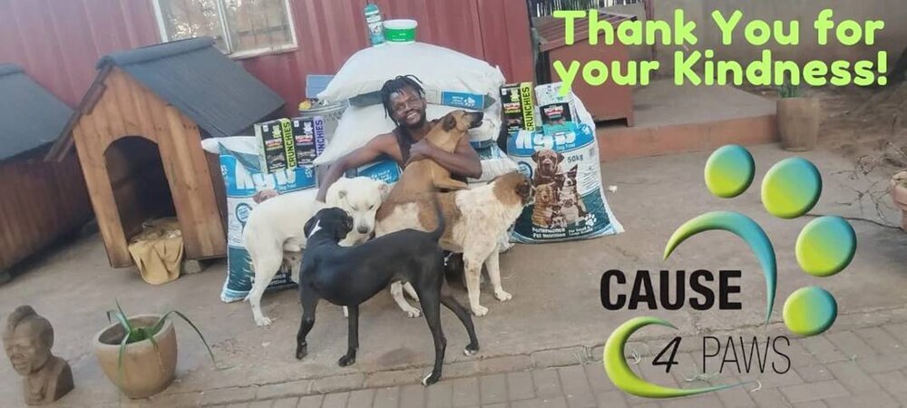 Cause 4 Paws